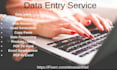 do data entry, excel, copy paste, retype recreate scanned documents