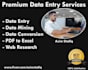 provide bulk data entry services in 6 hours