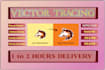 convert your logo or image into high quality vector