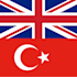 translate english to turkish professionally