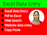 do excel data entry, pdf to excel, copy paste, data scrape