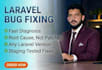 fix laravel bugs, errors and issues in your php web application