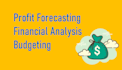 do budget and profit forecast of your business