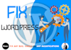 fix any wordpress bug, customisation or maintenance services