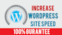 do wordpress speed optimization
