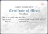 create a4 size certificates