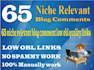 do 65 high quality niche relevant manual blog comments