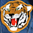 do chenille embroidery digitizing into dst,pes,hus,cnd,vp3