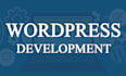 design, develop or fix a wordpress website