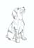 create a hand drawn custom line art portrait from your photo
