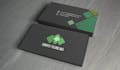 do professional design business card with two concepts