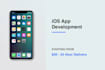 develop a custom native ios app with clean architecture