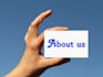 write a professional about us page