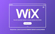 design professional wix website and customize wix website