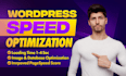 do wordpress speed optimization, website speed, wordpress optimization