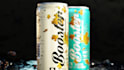 3d modeling, texturing, lighting, rigging, animation