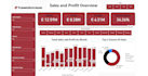 create professional power bi dashboard