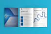 design a professional company profile, catalog and booklet
