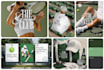 design brand logo, branding kit and brand identity