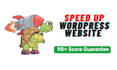 speed up slow wordpress website, fix core web vitals lcp, cls, fcp, fid, inp