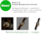 iwill remove the background of your images professionally