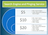 submit your URL top search engines, pinging