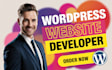 create a modern wordpress website design or redesign