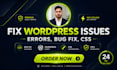 fix wordpress issues, errors, wordpress bug fix, CSS bugs