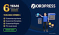 customize wp theme, template, plugin or fix css, js issues