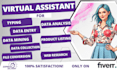 be your virtual assistant for data entry, data mining, web research, excel tasks
