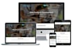 build and design a professional website for you on wordpress