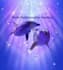 give a relationship reiki session