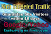 drive 50,000 niche targeted website traffic