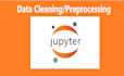 do data cleaning preprocessing  using python pandas