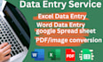 do excel word google spread sheet data entry