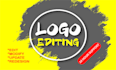 do redesign,edit,update,enhance and modify your logo