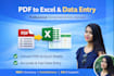 convert pdf to excel and all data entry work