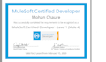 help you do API integration using mulesoft