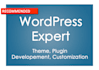 do wordpress custom job like pro