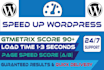 speed up your wp site in 24 hrs