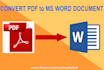 convert PDF to word document in manually