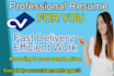 make professional resume for you
