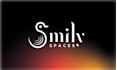 design a professional business logo in 1 day