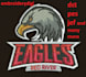 do embroidery digitizing logo into dst,pes in 1 hour