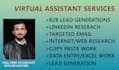 do b2b lead generation , email marketing and web research