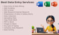 be your personal virtual assistant for data entry and copy paste work