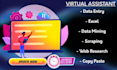 be your virtual assistant for data entry, web research, lead generation
