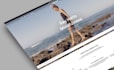 expertly manage shopify plus and custom store development