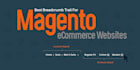 solve magento 2 errors, bugs, issues, and extension development