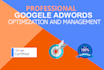 audit and optimize google ads adwords PPC campaign